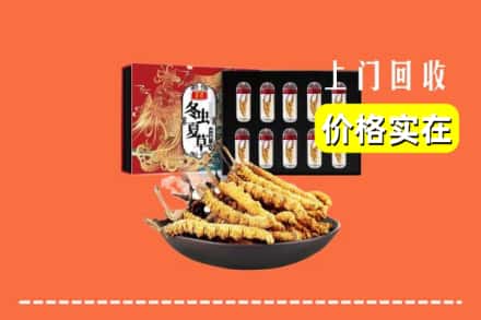内江市市中回收冬虫夏草